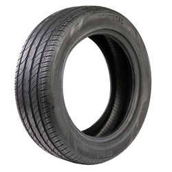 MN19 Montreal Eco-2 205/50R17XL 93W BSW Tires