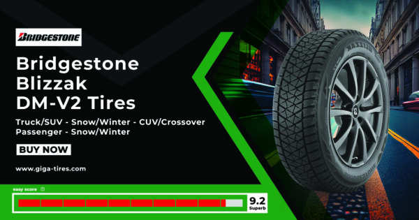 Bridgestone Blizzak DM-V2 Tires