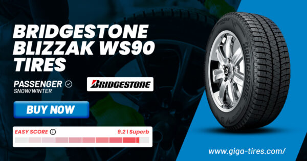 Bridgestone Blizzak WS90
