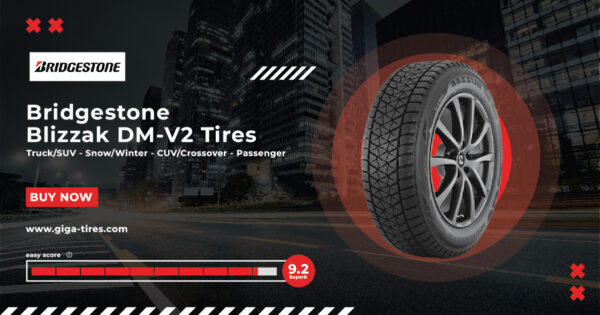 Bridgestone Blizzak DM-V2