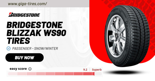 bridgestone Blizzak WS90