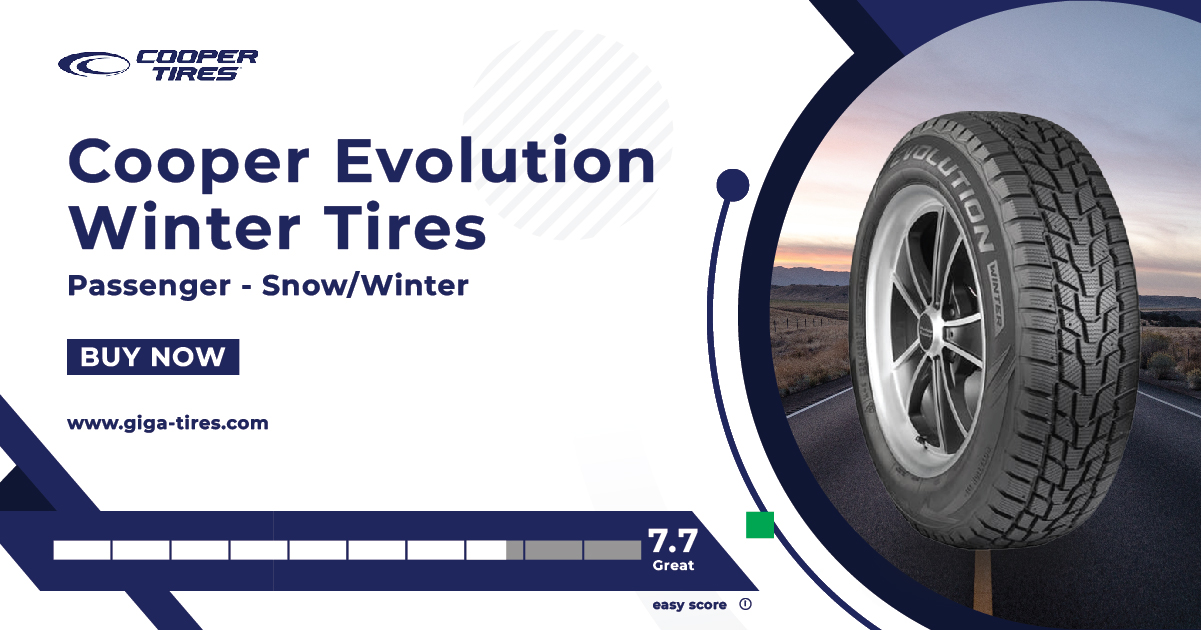 Cooper Evolution Winter