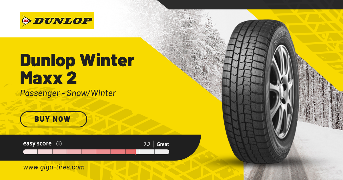 Dunlop Winter Maxx 2