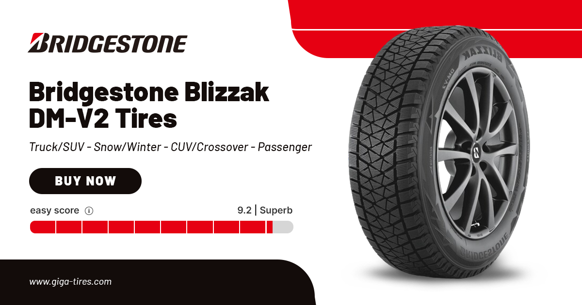 Bridgestone Blizzak DM-V2