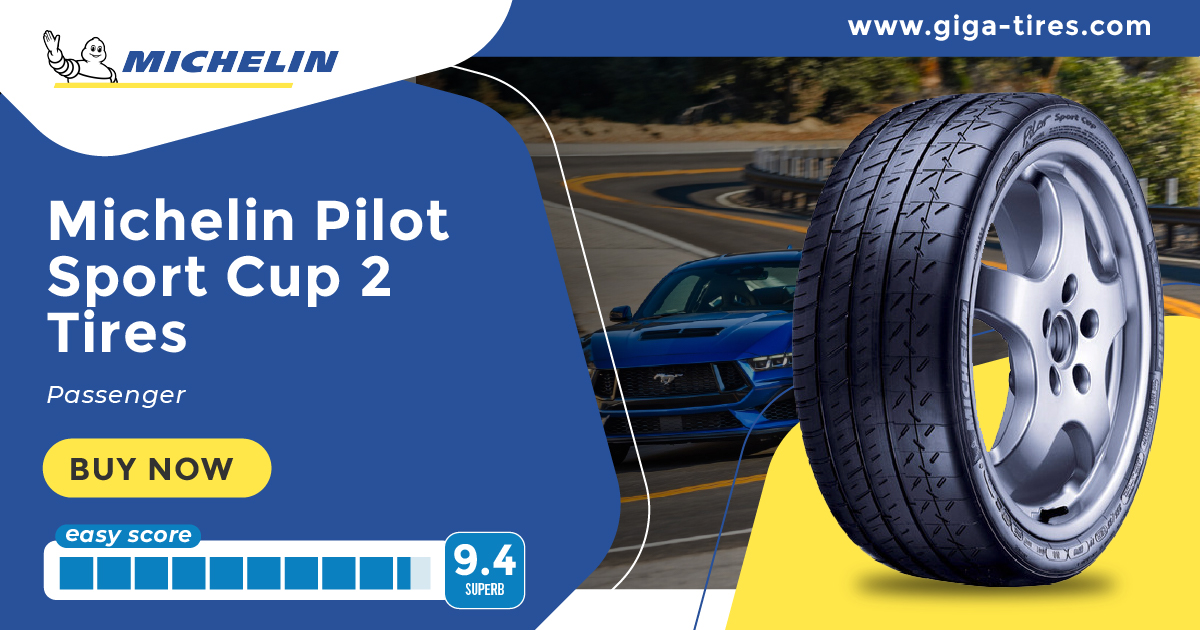 Michelin Pilot Sport Cup 2