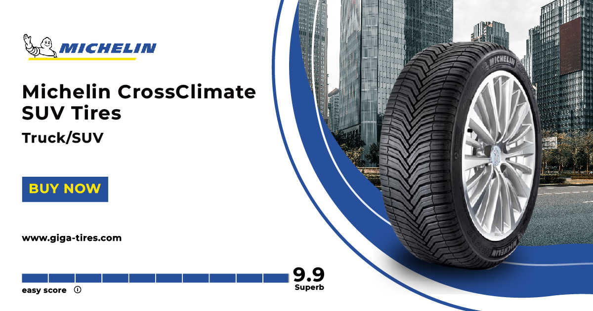  Michelin CrossClimate SUV - Best Tires for BMW X5
