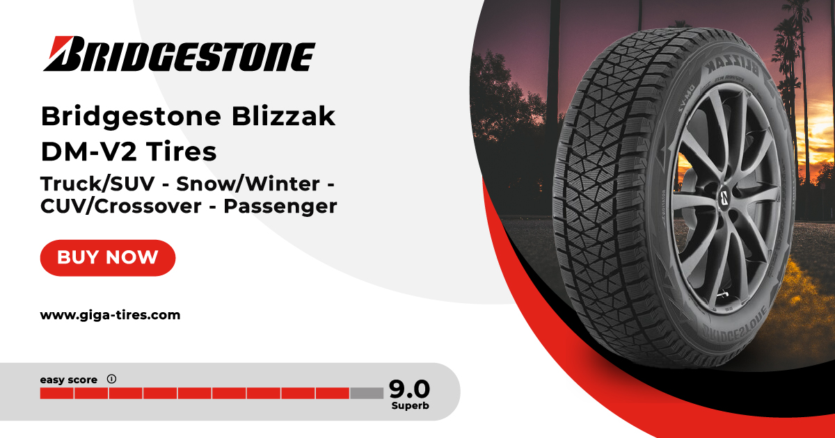 Bridgestone Blizzak DM-V2