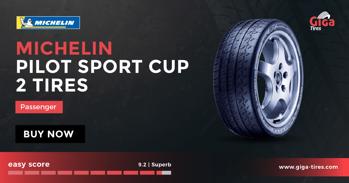 Michelin Pilot Sport Cup 2