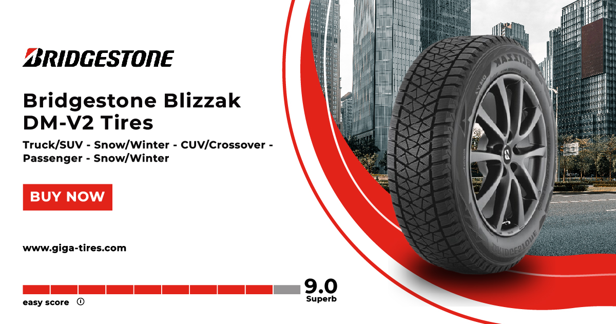 Bridgestone Blizzak DM-V2