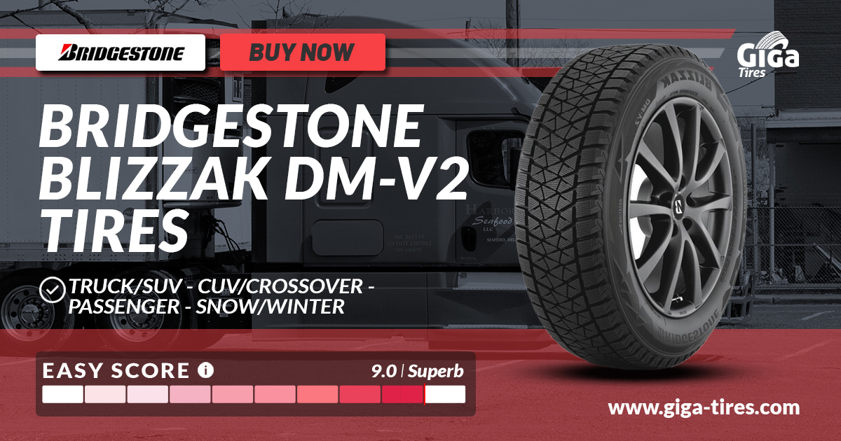 Bridgestone Blizzak DM-V2