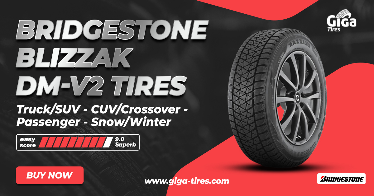Bridgestone Blizzak DM-V2