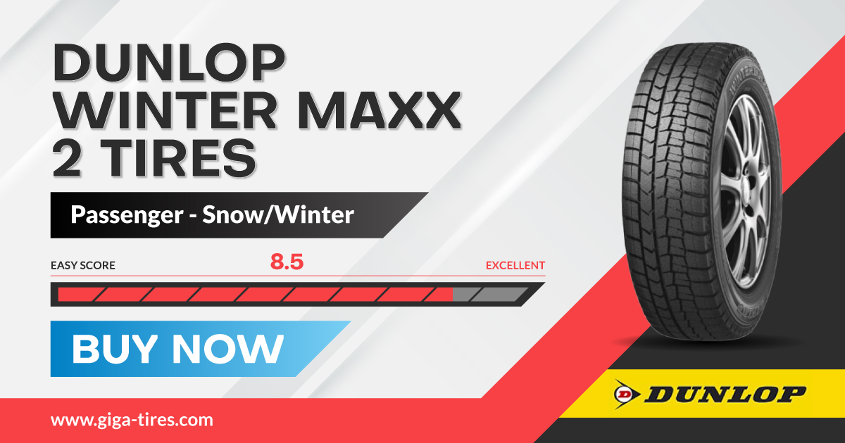 Dunlop Winter Maxx 2