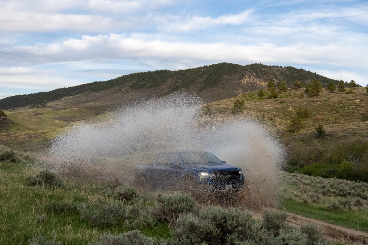 Radar Renegade X A Comprehensive Review Based on 3,200 Real-World User Feedback