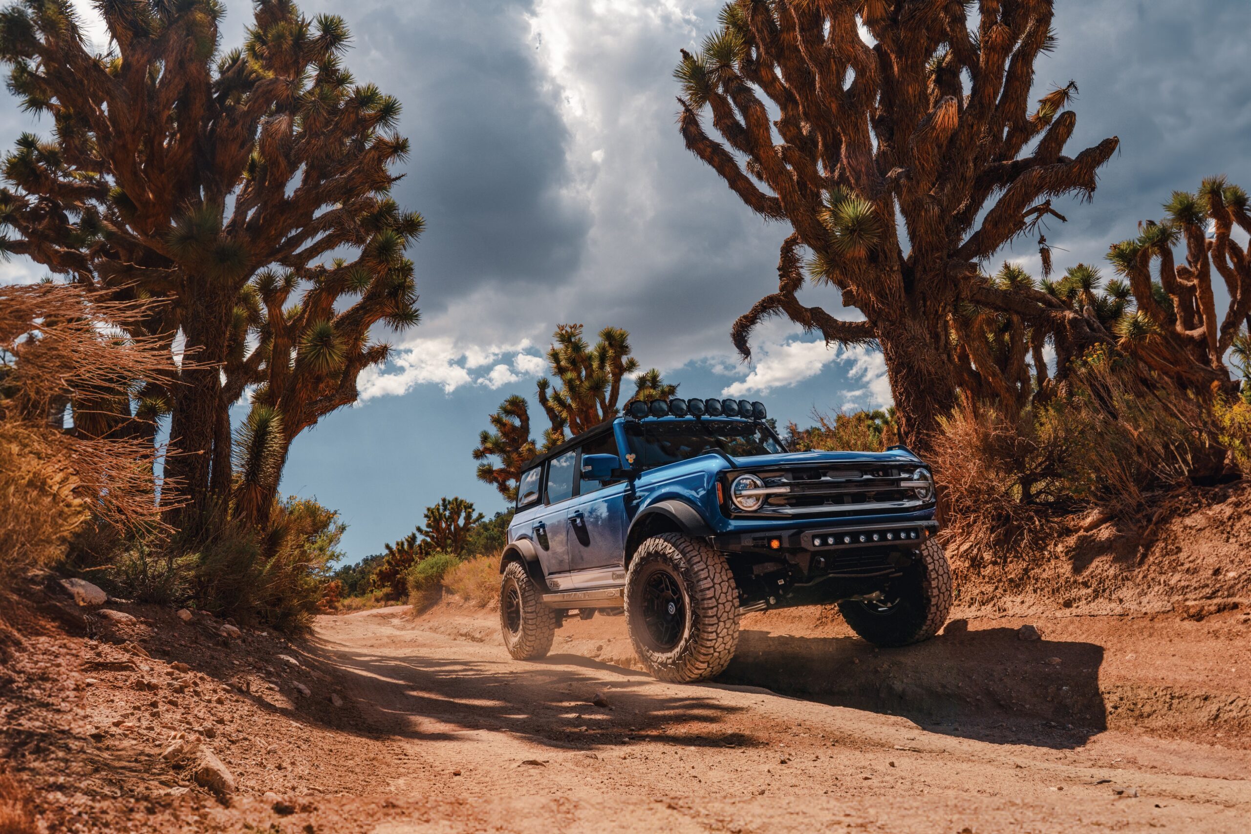 Top R/T Tires for Adventure