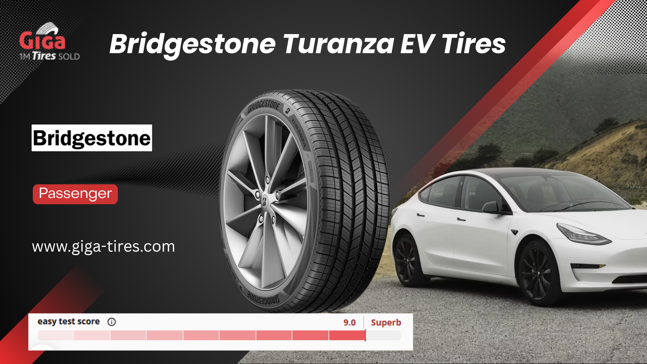 Bridgestone Turanza EV 