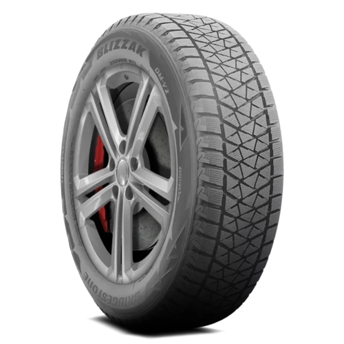 Bridgestone Blizzak DM-V2 225/65R17 102S BSW | Affordable
