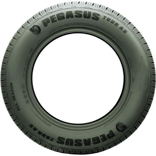 Pegasus TOUR AS 185/65R15 88H BSW | Affordable Tires - Giga