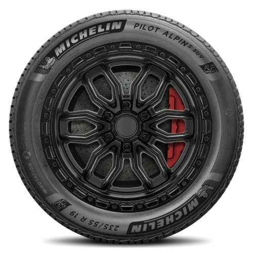 Michelin Pilot Alpin 5 SUV ZP (Runflat)