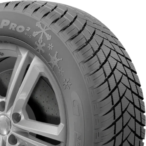 GT Radial Winterpro 2