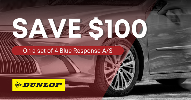 Dunlop $100 off image