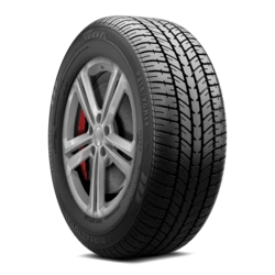 10065730 Tornel Direccional 255/60R15 102S BSW Tires
