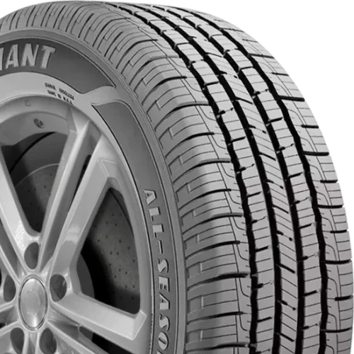 Goodyear Reliant