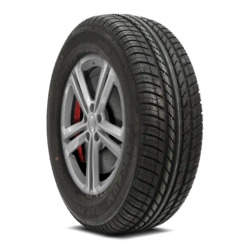 1200002710 Forceum EXP70 205/70R15 95H BSW Tires