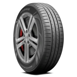 RACEIN0002 Radar Dimax eTouring 1 195/60R15 88H BSW Tires