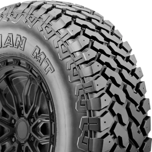 Nexen Roadian MT