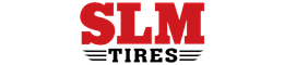 SLM Logo