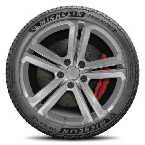 Michelin Pilot Alpin 5
