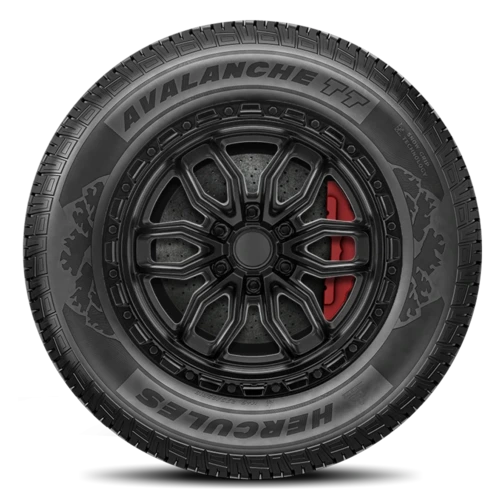 Hercules Avalanche TT