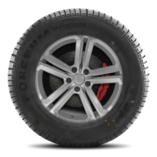 Forceum N300