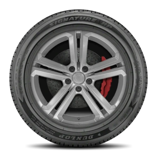 Dunlop Signature HP