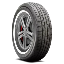 94032 Ironman RB-12 NWS 205/70R15 96S WSW Tires