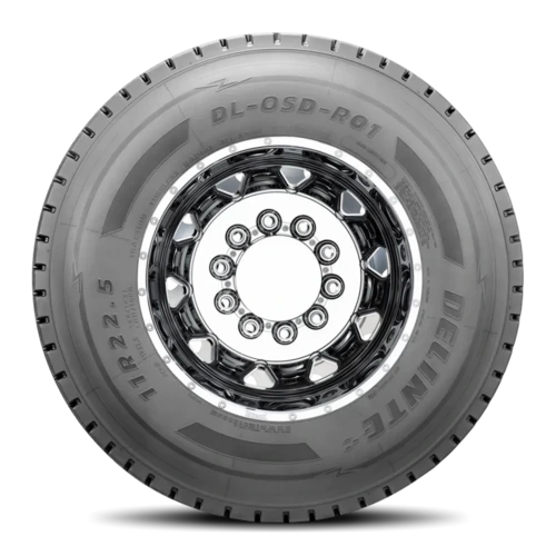 Delinte DL OSD R01