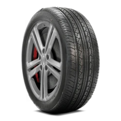 8831002023555 Duro DP3100 Performa T/P 235/55R20 102H BSW Tires