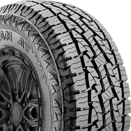 Nexen NPriz S