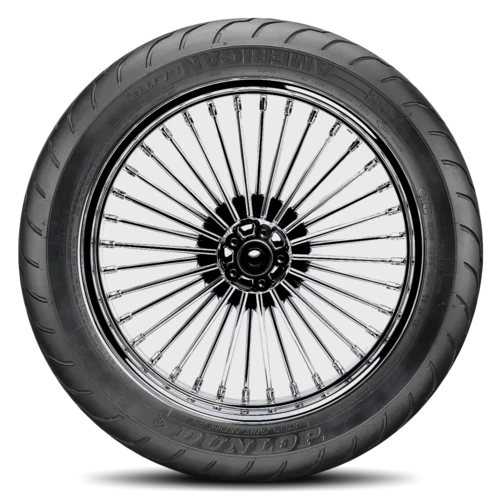 Dunlop D251
