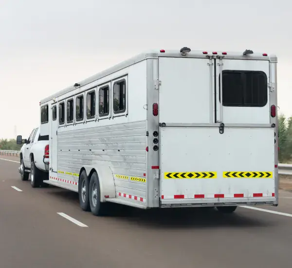 Trailer King