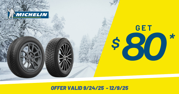 2025 Michelin Winter Promotion