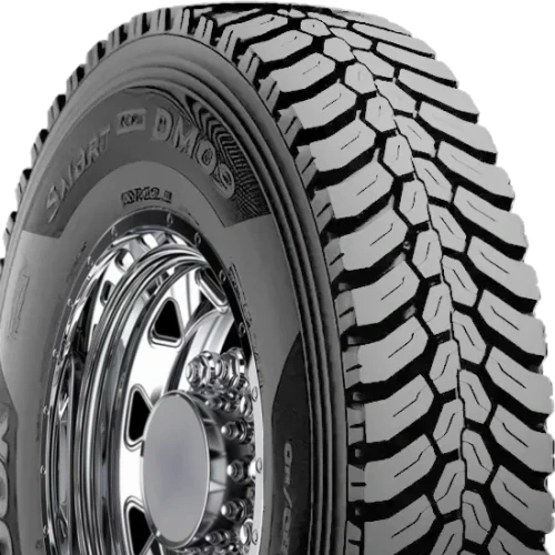 Hankook DM09