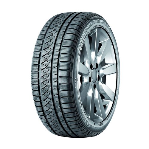 HP Radial Champiro Winterpro Tires GT
