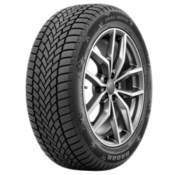RACSTH0139 Radar Dimax Winter 225/50R18XL 99V BSW Tires