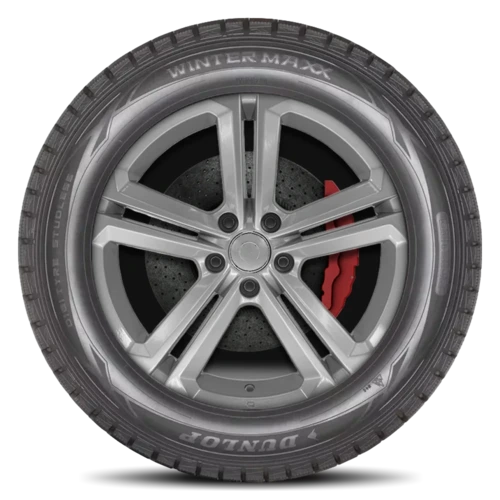 Dunlop Winter Maxx
