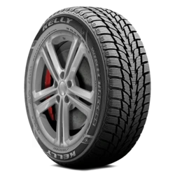 356215113 Kelly Winter Access 225/65R17 102T BSW Tires