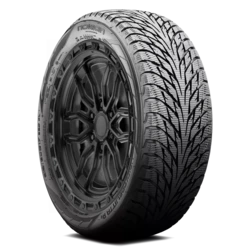 T429421 Nokian Hakkapeliitta R2 215/45R20XL 95R BSW Tires