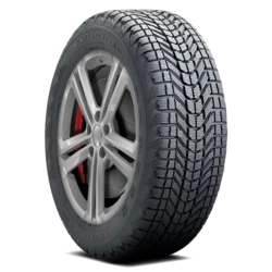 114249 Firestone Winterforce 225/60R17 99S BSW Tires