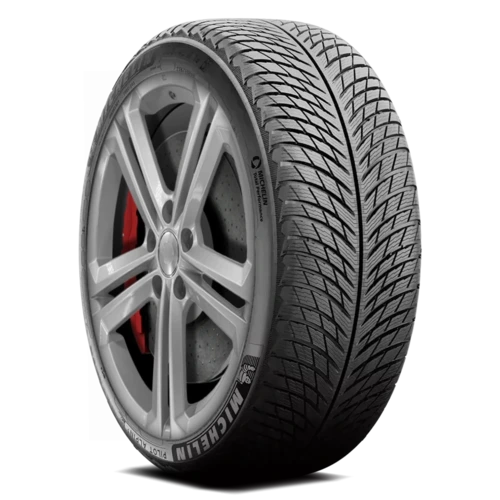 Michelin Pilot Alpin 5