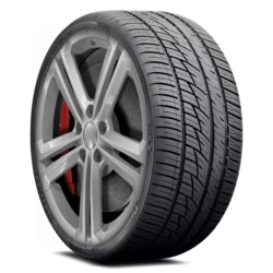 804921 Delinte DS8 325/30R21XL 110Y BSW Tires